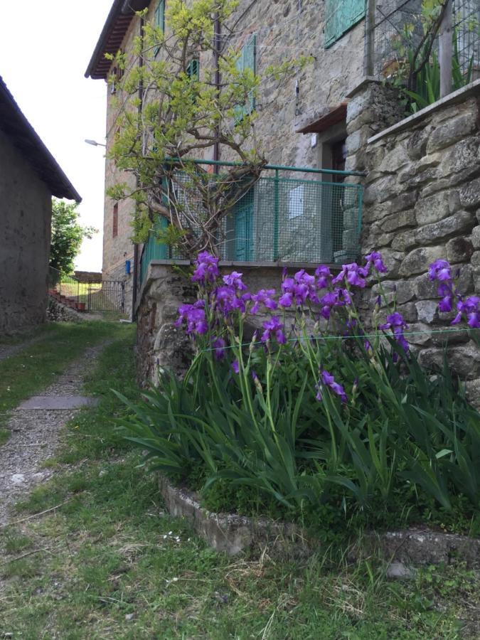 Castello Di Urbech Apartment Pratovecchio Ngoại thất bức ảnh