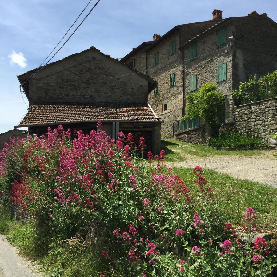 Castello Di Urbech Apartment Pratovecchio Ngoại thất bức ảnh